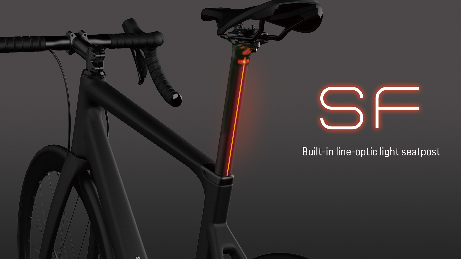 SF Fiber type rear light seatpost