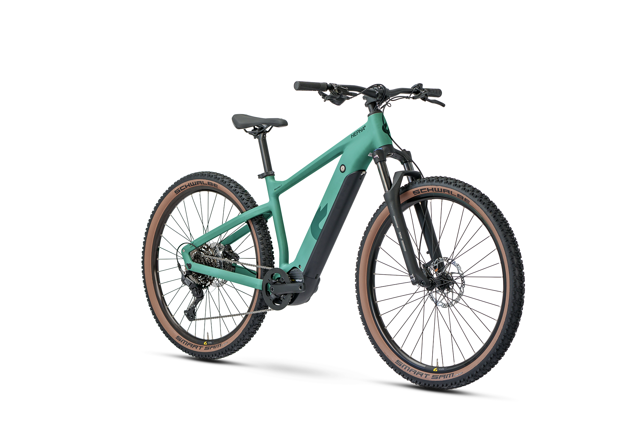 Mountain 7: Robust e-MTB Hardtail for Off-Road and Leisure 