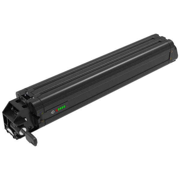48V Modular Battery