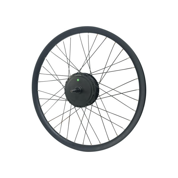 750W 1000W electric bicycle gear hub motor