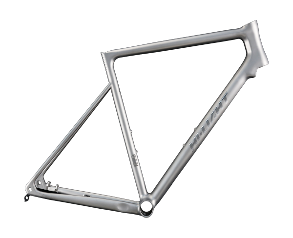 R0 PRO TITANIUM ROAD DISC FRAME